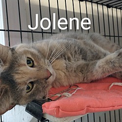 Photo of Jolene ( and Waffle )