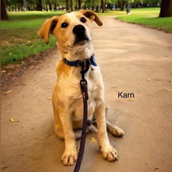 Photo of Karn