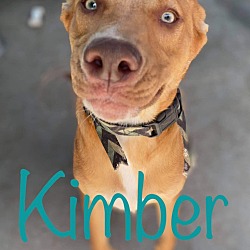Thumbnail photo of Kimber #2