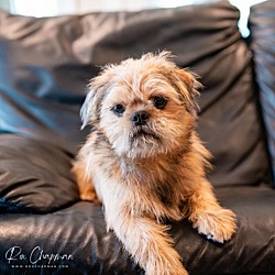 Photo of Miyagi