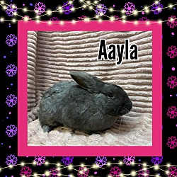 Photo of Aayla