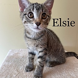 Photo of Elsie