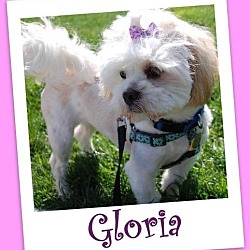 Thumbnail photo of Gloria - OS #2
