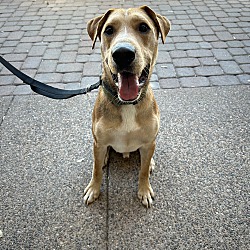 Thumbnail photo of Wrigley #2