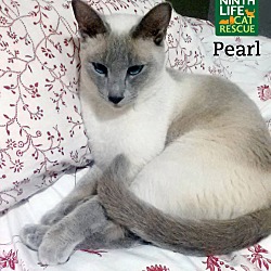 Thumbnail photo of Pearl #1