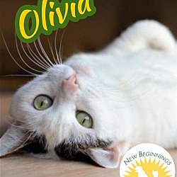 Thumbnail photo of Olivia #1