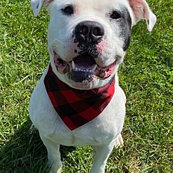 Photo of Gambit