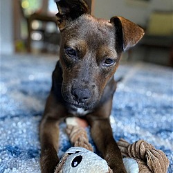 Photo of Marci