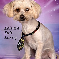 Photo of Leisure Suit Larry
