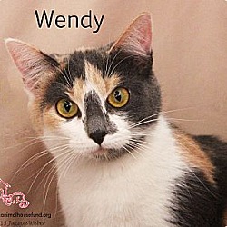 Thumbnail photo of Wendy #2