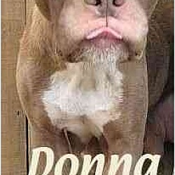 Photo of MS. DONNA