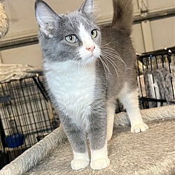 Photo of Prissy