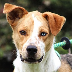 Photo of Thor