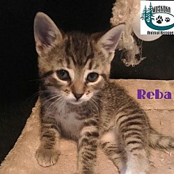 Thumbnail photo of Reba - Cutie Patootie! #1