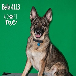 Thumbnail photo of Bella 4113 #4