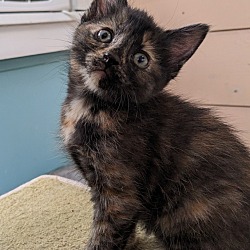 Photo of Lexi