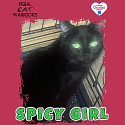 Photo of Spicy Girl