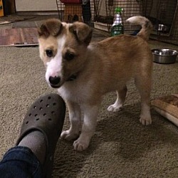 Thumbnail photo of Kenny-fostered in Minneapolis #2
