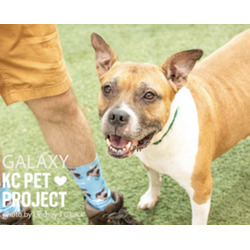 Thumbnail photo of Galaxy #1