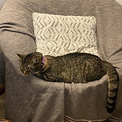 Photo of Winnie