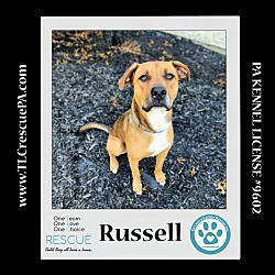 Thumbnail photo of Russell (Dream House Duo) 041523 #4