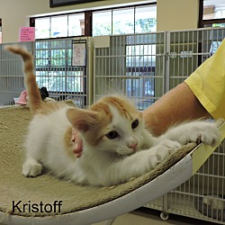 Thumbnail photo of Kristoff #2