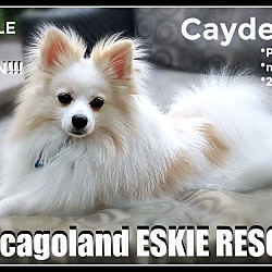 Thumbnail photo of Cayden #2