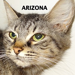 Thumbnail photo of Arizona-outgoing! #2