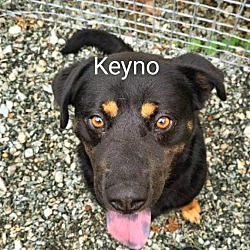 Thumbnail photo of KEYNO #2