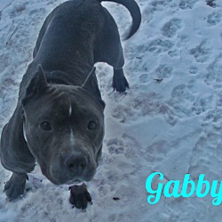 Thumbnail photo of Gabby #2
