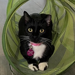 Photo of Bootsie