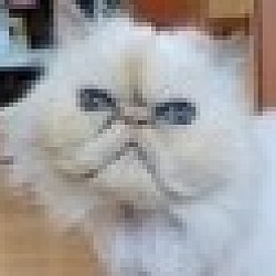 Umzrfllltm99gm
