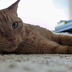 Thumbnail photo of Fred #2
