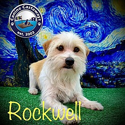 Thumbnail photo of Rockwell #4