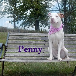 Thumbnail photo of Penny Copperface #1