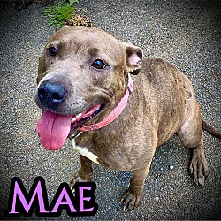Photo of Mae