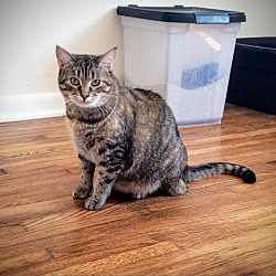 Thumbnail photo of Pamcake #3