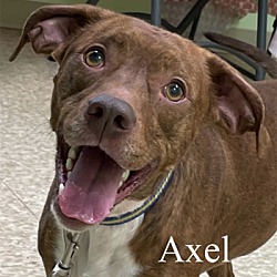 Photo of Axel
