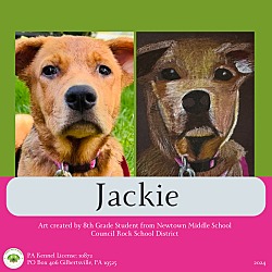Thumbnail photo of Jackie #1