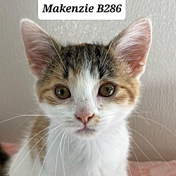 Photo of Makenzie B286