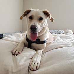 Thumbnail photo of Sophie #4