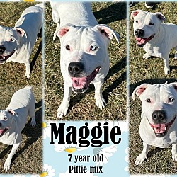 Photo of Maggie2