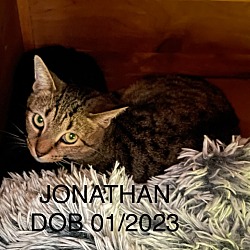 Photo of Jonathan