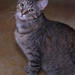 Thumbnail photo of Lori #3