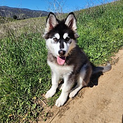 Photo of Zeus 
