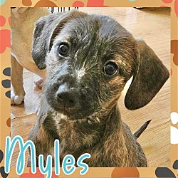 Thumbnail photo of Myles #1