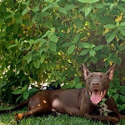 Photo of Khushi