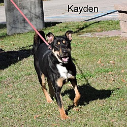 Thumbnail photo of Kayden #2