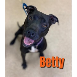 Photo of BETTY