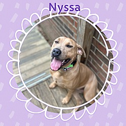 Thumbnail photo of Nyssa~adopted! #2